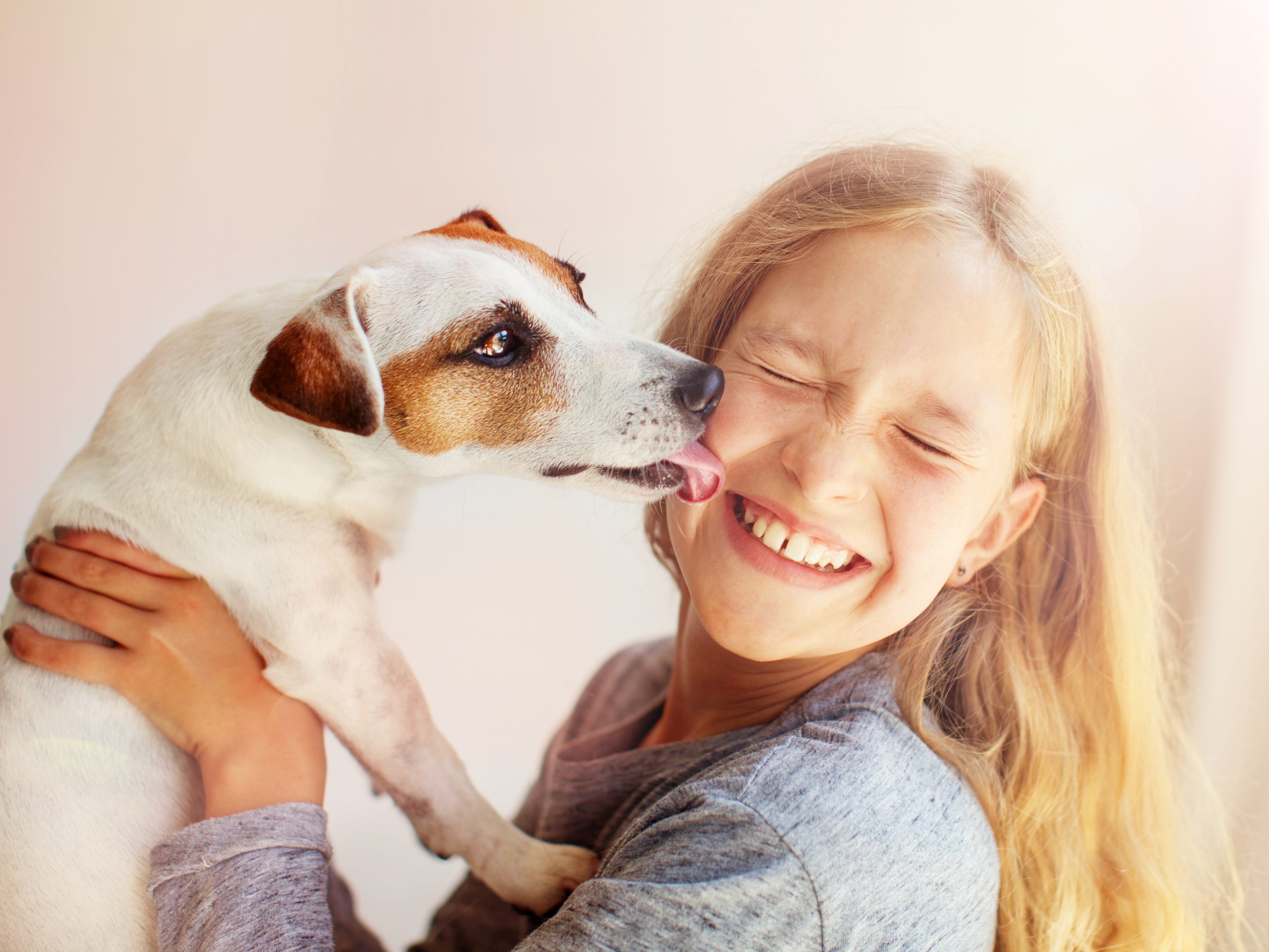 stress powder for dogs pets at home