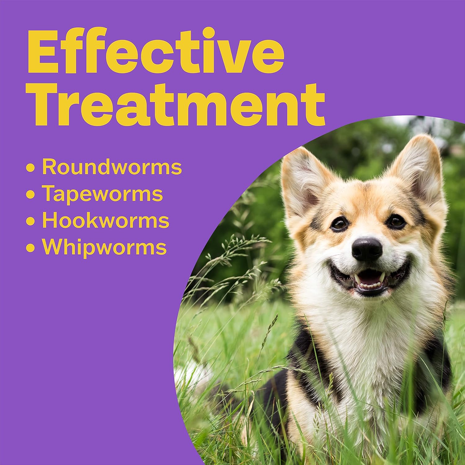 Bob Martin Clear 3in1 Flavoured Wormer Tablets for Dogs - Pack of 2 - Image 4