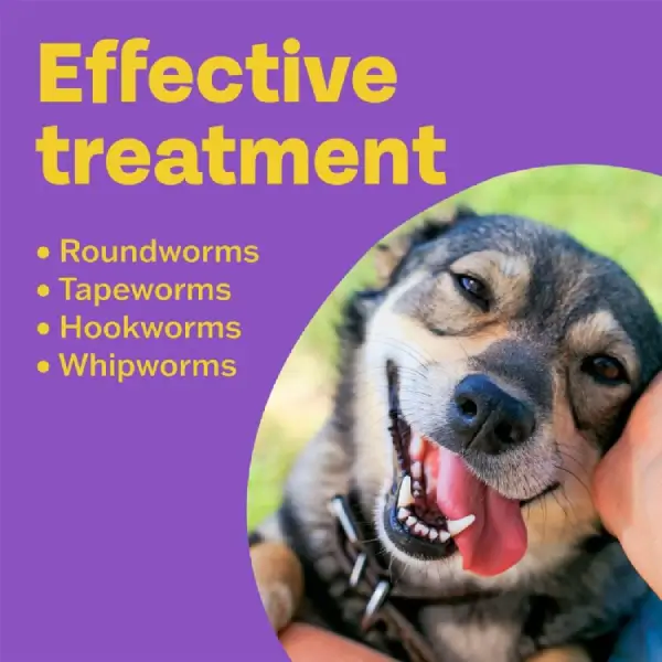 Bob Martin Clear 3in1 Flavoured Wormer Tablets for Dogs - Image 4