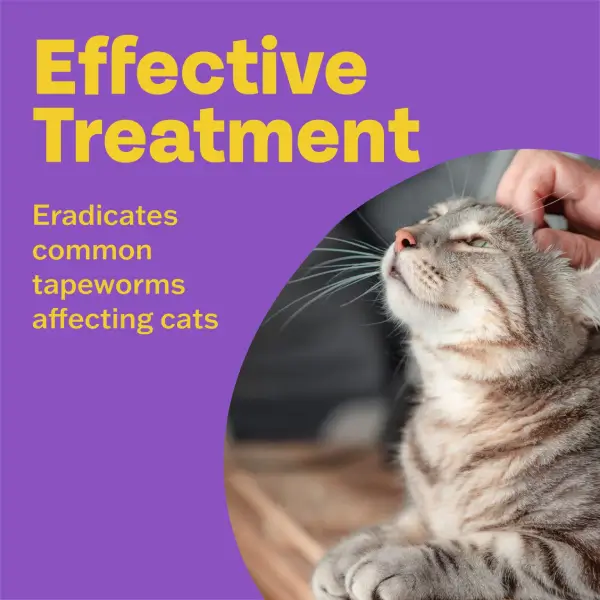Bob Martin Clear Spot-On Wormer for Cats & Kittens - 2 Pipettes - Image 3