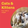 Bob Martin Clear Wormer Spot-On for Cats and Kittens - 4 Pipettes - Image 4