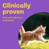 Bob Martin Clear 2 in 1 Wormer Tablets for Cats & Kittens - Pack of 2 - Image 3