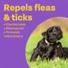 Bob Martin Clear Flea & Tick Repellent Collar for Dogs - Image 5