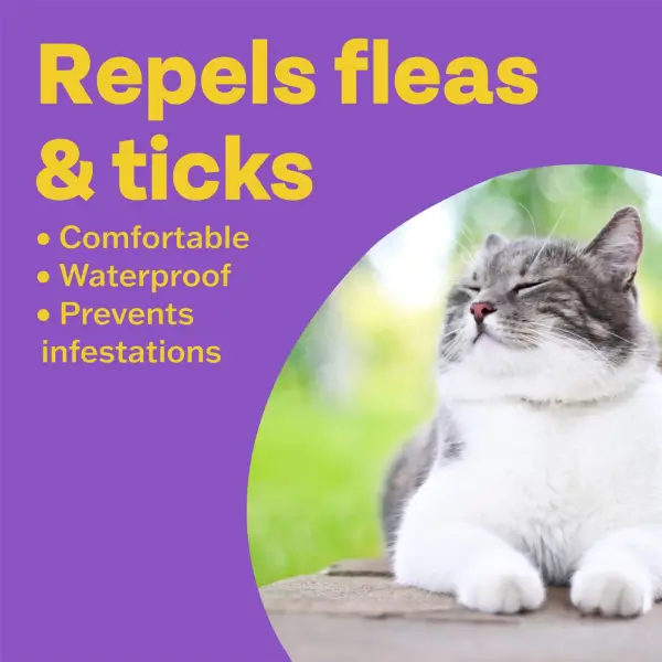 Bob Martin Clear Flea & Tick Repellent Collar for Cats - Image 3