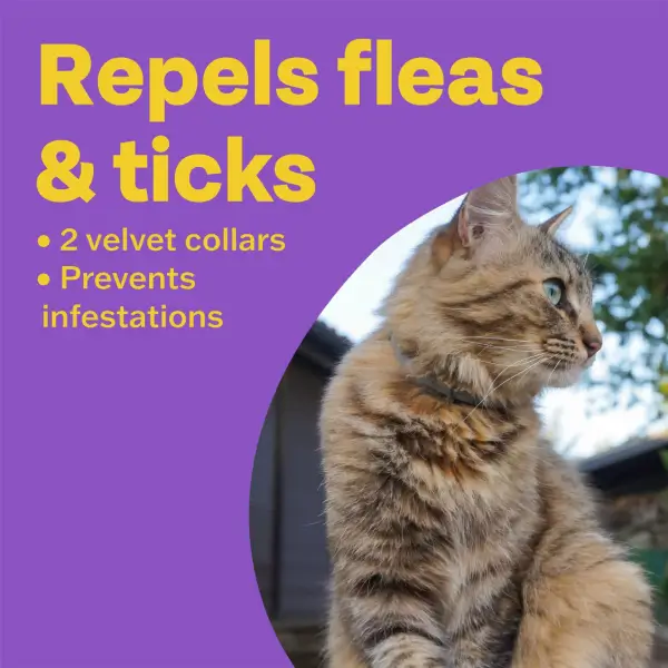 Bob Martin Clear Repellent Collar for Cats - Velvet Twin pack - Image 3