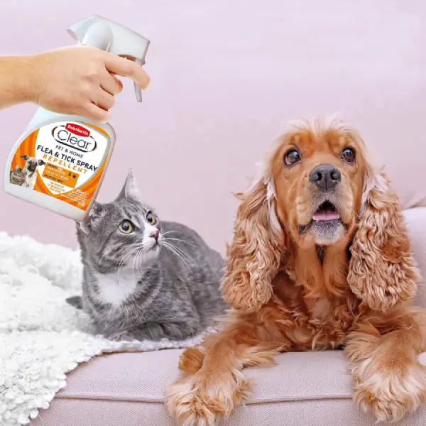 Bob Martin Clear Flea & Tick Repellent Spray For Pets - 300ml - Image 5