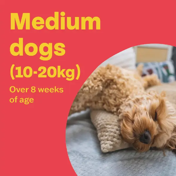 Bob Martin Clear Plus Spot-On for MEDIUM Dogs - Image 6
