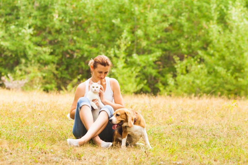 ways pets catch fleas (and how to avoid them)