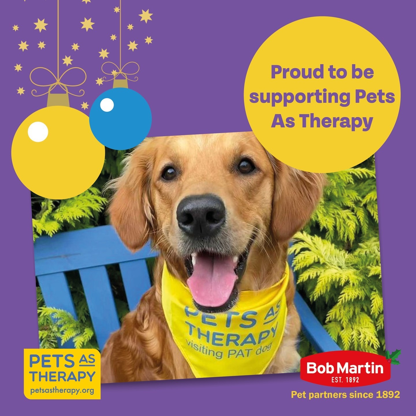 Tis’ the season of giving but the pooches at Pets as Therapy give their love and affection every day of the year 💛 We are so proud to be supporting such an amazing charity to help raise awareness of the mental and physical support pets can provide!

#BobMartin #PetHealthcare #Flea #Worm #Dog #Cat #SpotOn #Pets #PetsOfInstagram #PetCare #PetTips #PetHealth #HealthyPets #ActivePets #charity #therapydog #christmas #festive