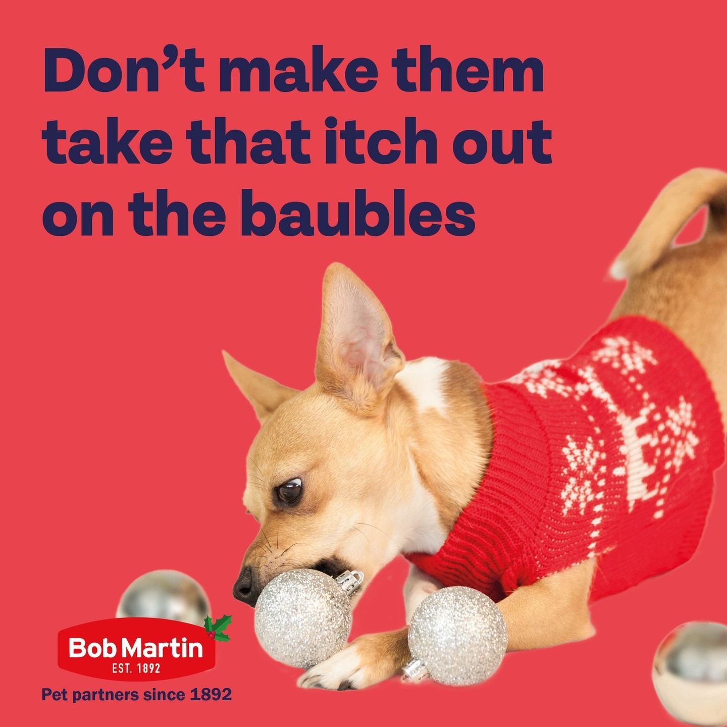 Itchy Christmas jumper got you feeling like you have fleas? Imagine how your pet feels. Keep them protected this ‘fleason’ with our range of vet-strength products 🐾

Shop via the link in our bio.

#BobMartin #PetHealthcare #Flea #Worm #Dog #Cat #SpotOn #Pets #PetsOfInstagram #PetCare #PetTips #PetHealth #HealthyPets #ActivePets #christmas #christmasjumper