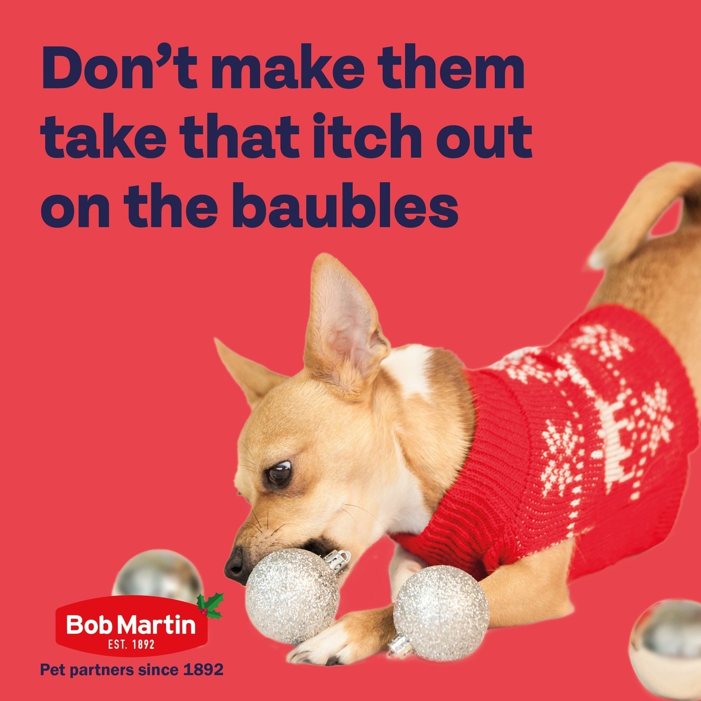 Itchy Christmas jumper got you feeling like you have fleas? Imagine how your pet feels. Keep them protected this ‘fleason’ with our range of vet-strength products 🐾
Shop via the link in our bio.
#BobMartin #PetHealthcare #Flea #Worm #Dog #Cat #SpotOn #Pets #PetsOfInstagram #PetCare #PetTips #PetHealth #HealthyPets #ActivePets #christmas #christmasjumper