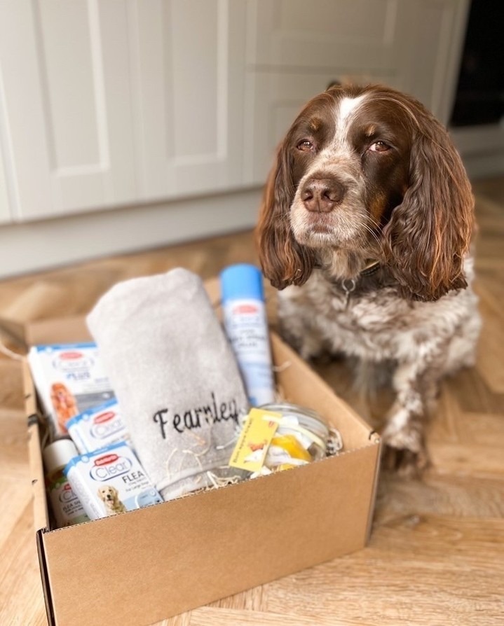 Fearnley is doing his best smoulder for the camera 🥰 He has all the essentials for a flea-free festive season!
📷 darset_home via IG
.
.
.
.
#BobMartin #PetHealthcare #Flea #Worm #Dog #Cat #SpotOn #Pets #PetsOfInstagram #PetCare #PetTips #PetHealth #HealthyPets #ActivePets