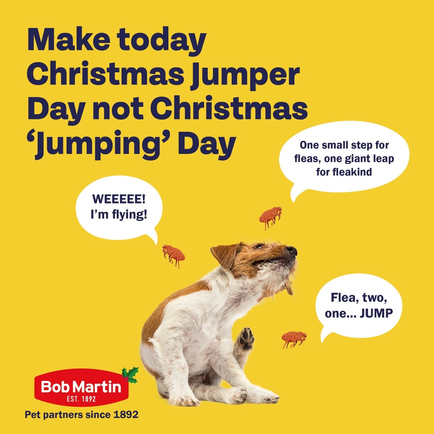 Put those pesky fleas in their place this #ChristmasJumperDay by protecting your pet with our repellent range!

Available to shop via link in bio 

 #BobMartin #PetHealthcare #Flea #Worm #Dog #Cat #SpotOn #Pets #PetsOfInstagram #PetCare #PetTips #PetHealth #HealthyPets #ActivePets
