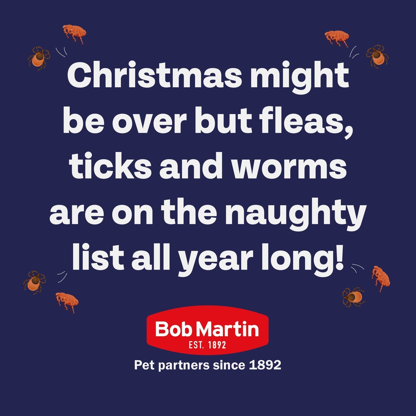 Banish fleas, ticks and worms 'fur' good with Bob Martin!

.
.
.
 #BobMartin #PetHealthcare #Flea #Worm #Dog #Cat #SpotOn #Pets #PetsOfInstagram #PetCare #PetTips #PetHealth #HealthyPets #ActivePets