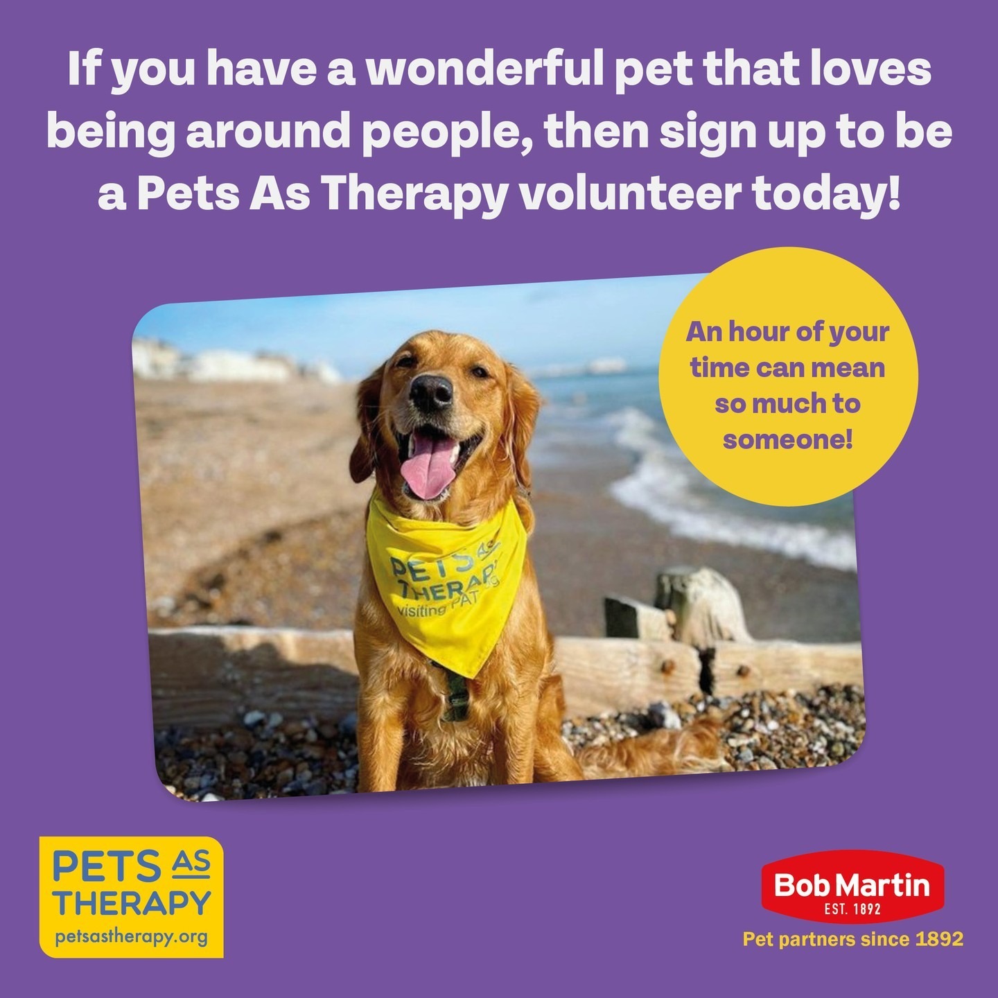 Do you have a pet with a great temperament and would like to share the wonderful benefits of its companionship with others in your community? Sign up to be a Pets As Therapy volunteer via the link in our bio

.
.
.
 #BobMartin #PetHealthcare #Flea #Worm #Dog #Cat #SpotOn #Pets #PetsOfInstagram #PetCare #PetTips #PetHealth #HealthyPets #ActivePets