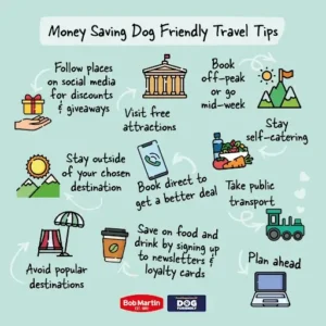 8 ways to save money on dog-friendly travel