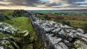 Hadrians Wall - dog walking