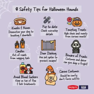 8 pet safety tips or Halloween Hounds
