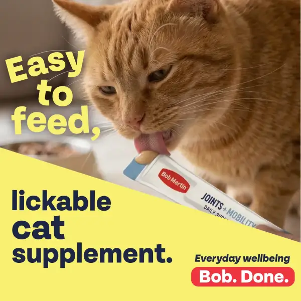 Bob Martin Cat Supplement Calming & Anxiety - Image 3